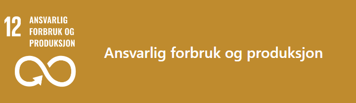 FN's bærekraftsmål 21