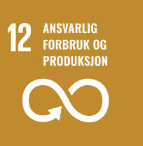 12 FN berekraftsmål