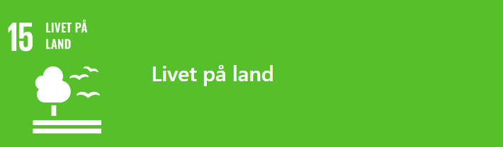 FN's bærekraftsmål 32