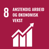 8 FN berekraftsmål