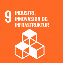 9 FN berekraftsmål